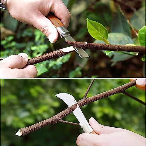 HASTHIP® Grafting Knife for Plants with Dual Blade Stainless Steel Tool for Organic Fruits Tree Foldable Bud Shoot Pruning Cutter with Wooden Handle 2 PCS HASTHIP® Grafting Knife for Plants with Dual Blade Stainless Steel Tool for Organic Fruits Tree Foldable Bud Shoot Pruning Cutter with Wooden Handle 2 PCS
